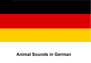 Animal Sounds in German