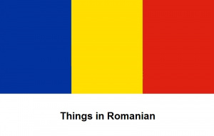 Things in Romanian