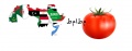 Arabic-vegetables.jpg