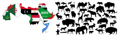Animals-vocabulary-arabic-language.jpg