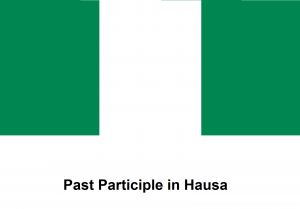 Past Participle in Hausa