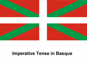 Imperative Tense in Basque