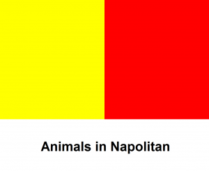 Animals in Napolitan