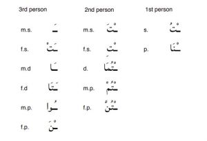 Arabic-Language-perfect-PolyglotClub.jpg