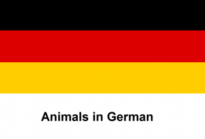 Animals in German .png