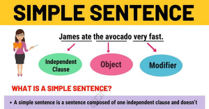 This article provides the definition, types of simple sentences and useful examples with ESL infographics for English learners. You will also find different elements of a simple sentence in English grammar.
