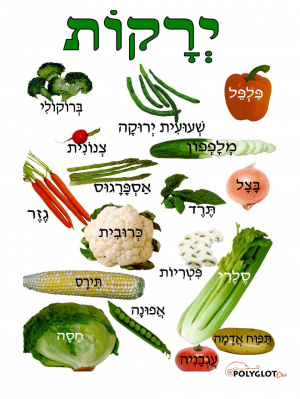 Vegetables-hebrew-polyglotclub.jpg