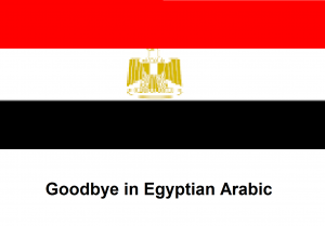 Goodbye in Egyptian Arabic