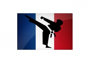 Arts-martiaux-vocabulaire-français.jpg