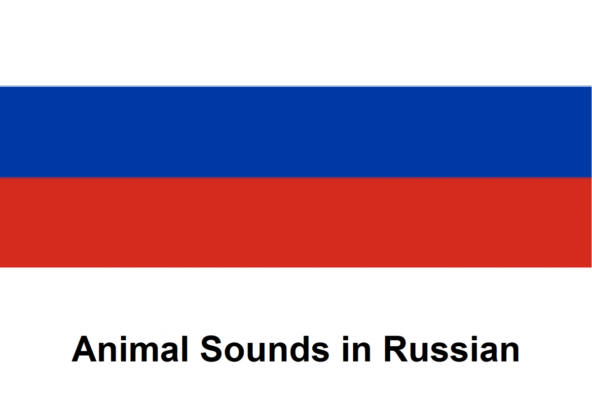 Russian Vocabulary - Animal Sounds Russian Vocabulary - Animal Sounds