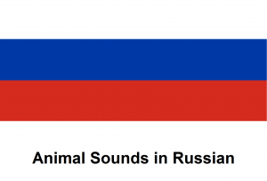 Animal Sounds in Russian
