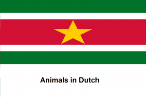 Animals in Dutch