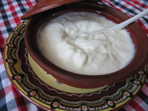Bulgarian yogurt кисело мляко PolyglotClub Lesson.jpg
