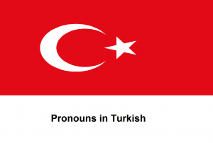 Pronouns in Turkish