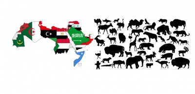 Animals-vocabulary-arabic-language2.jpg