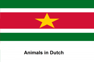 Animals in Dutch