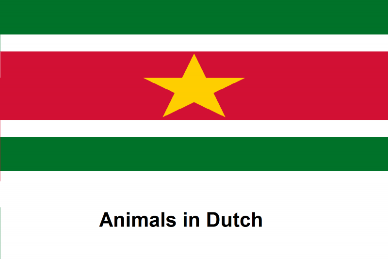 File:Animals in Dutch .png