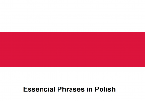 Essencial Phrases in Polish