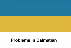 Problems in Dalmatian