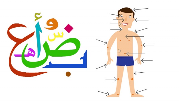 learn-the-parts-of-the-body-in-arabic