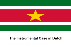 The Instrumental Case in Dutch